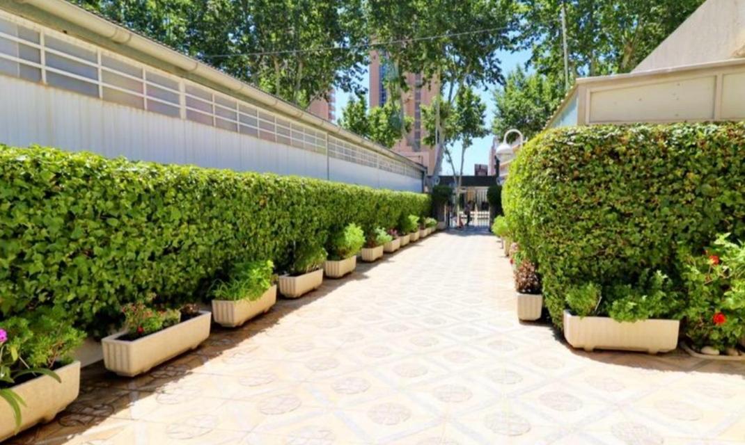 Cielo Benidorm Con Vistas Panoramicas Apartment Exterior photo